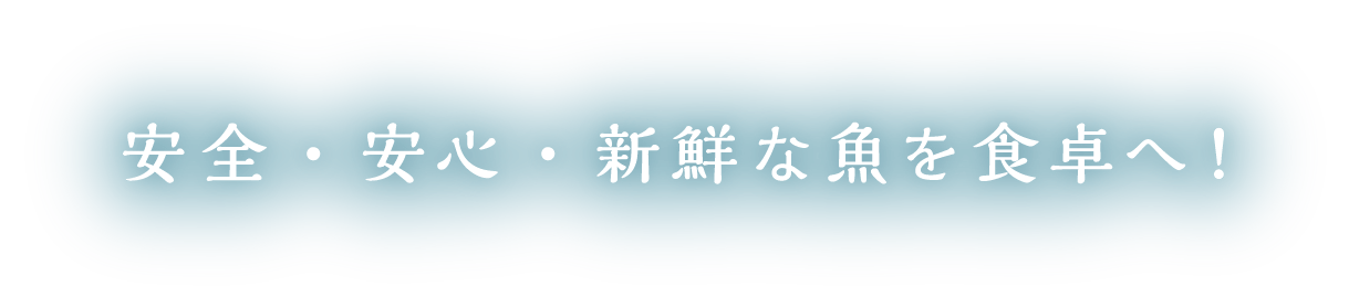 安全・安心・新鮮な魚を食卓へ！